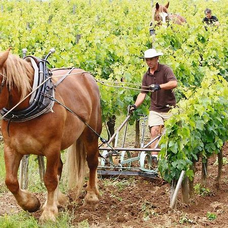 Meuble De Tourisme Classe 3 Etoiles Le Ptit Coin De Soleil - Saint Ciers D'Abzac المظهر الخارجي الصورة